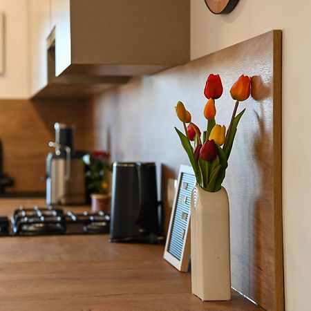 Veliki Apartman Petra Posedarje Esterno foto